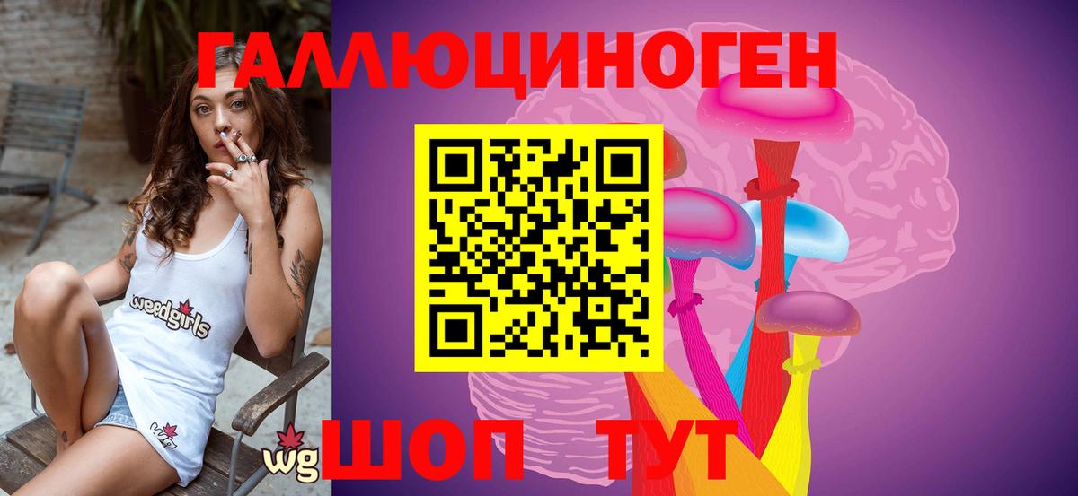 Псилоцибиновые грибы Psilocybe Можайск
